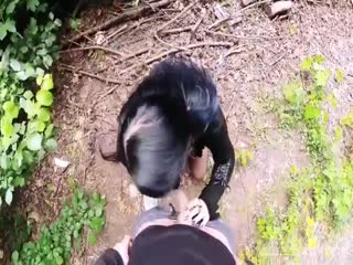 国内自拍亚洲视频欧美性爱-手机影视欧美电影在线