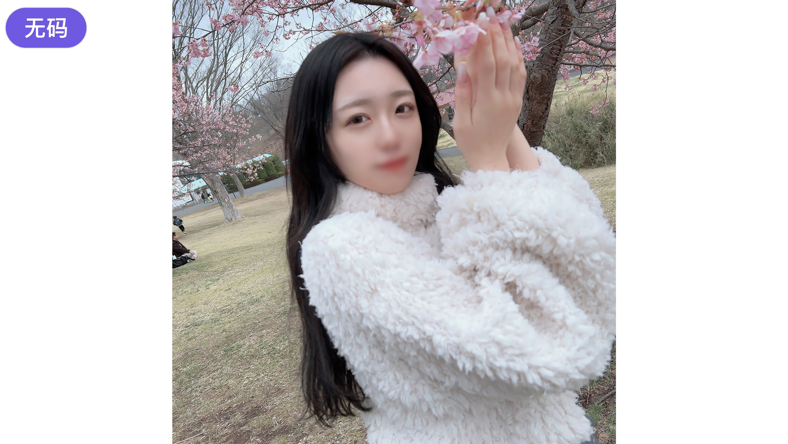 久草在线视频免费资源-详情高清在线观看