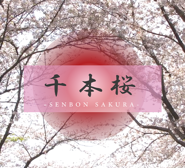 啊啊操我啊啊啊啊-高清日韩免费观看电视剧