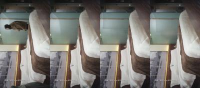 人妖精品videosex性欧美-手机视频无删减90分钟观看